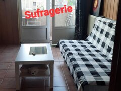 Cismigiu, Kogalniceanu